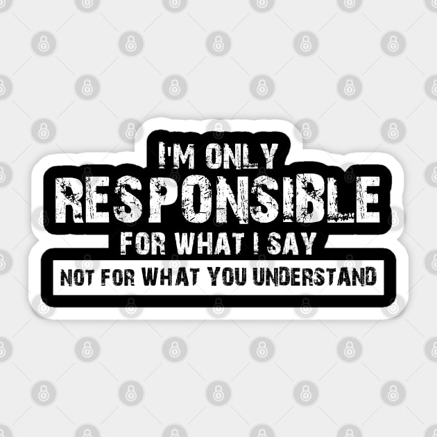 I'm only responsible for what i say not for what you understand Sticker by chidadesign